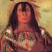 Buffalo Bull's Back Fat, Head Chief, Blood Tribe